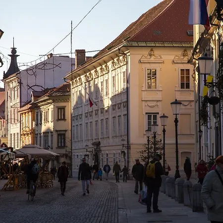 Sarka Ljubljana
